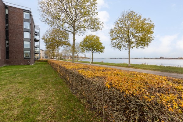 Medium property photo - Ansjovislaan 228, 4617 AT Bergen op Zoom